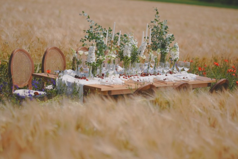 Cireșul Sălbatic. Stefan Teodorescu — Fotograf de Nunta Ploiesti