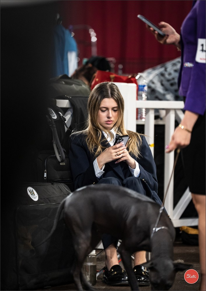 Expo canine 🇲🇨 Monaco 9-10/05/2026. Photographe à Strasbourg | Les animaux, Portraits, Studio, Événements