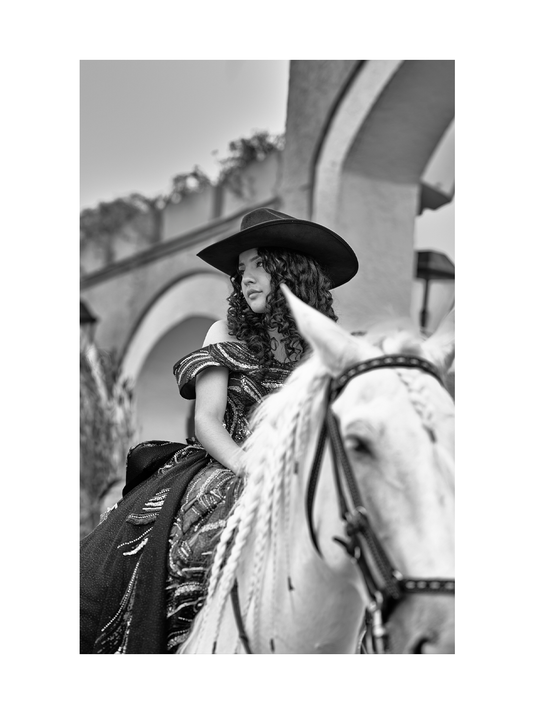 Fotografo de caballos