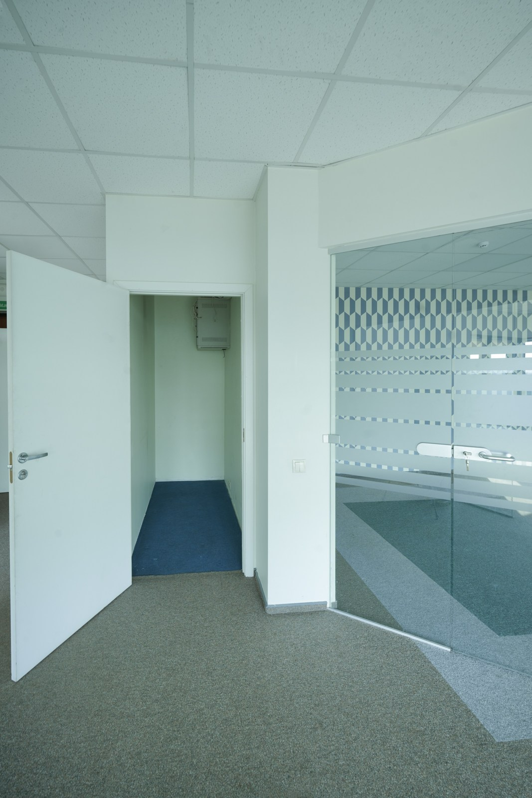 Olimpiečių 1. Elina Sapiega fotografė Vilniuje