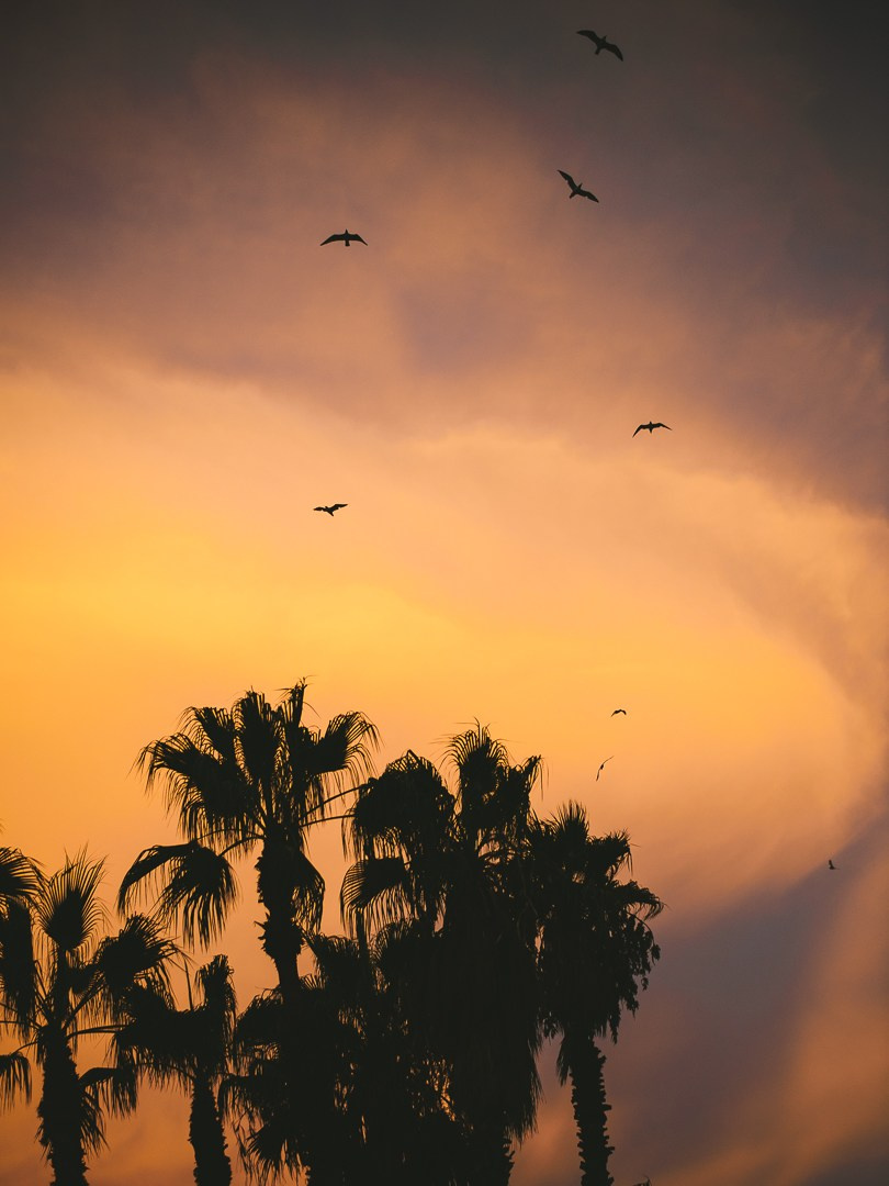 Fotografia de baile en Barcelona. Creador de contenido visual en Barcelona | Dima Kit