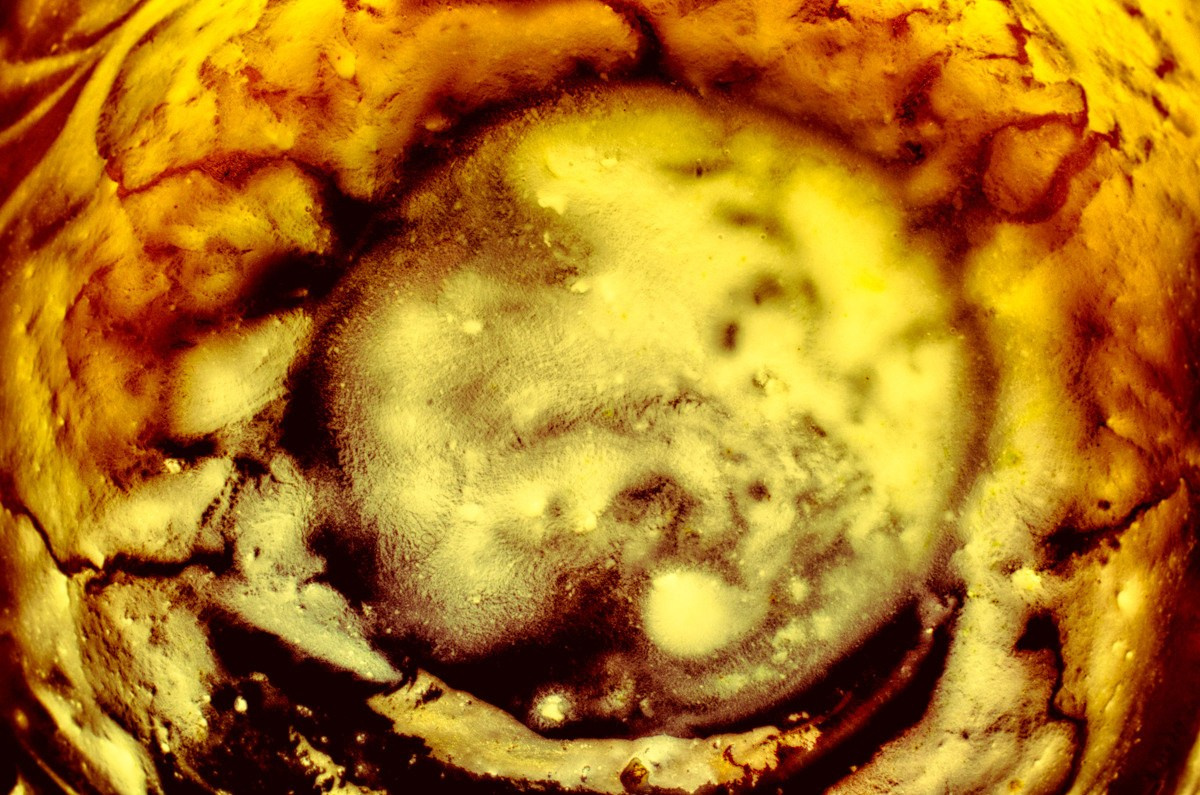 Абстрактный. Самид Али, фотограф из Санкт-Петербурга, Россия