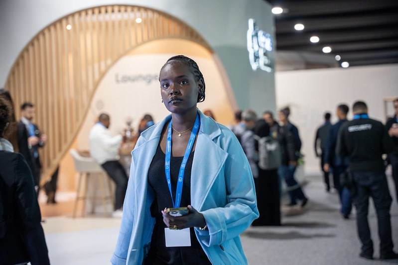 COP29. Ulvidasdamir.com