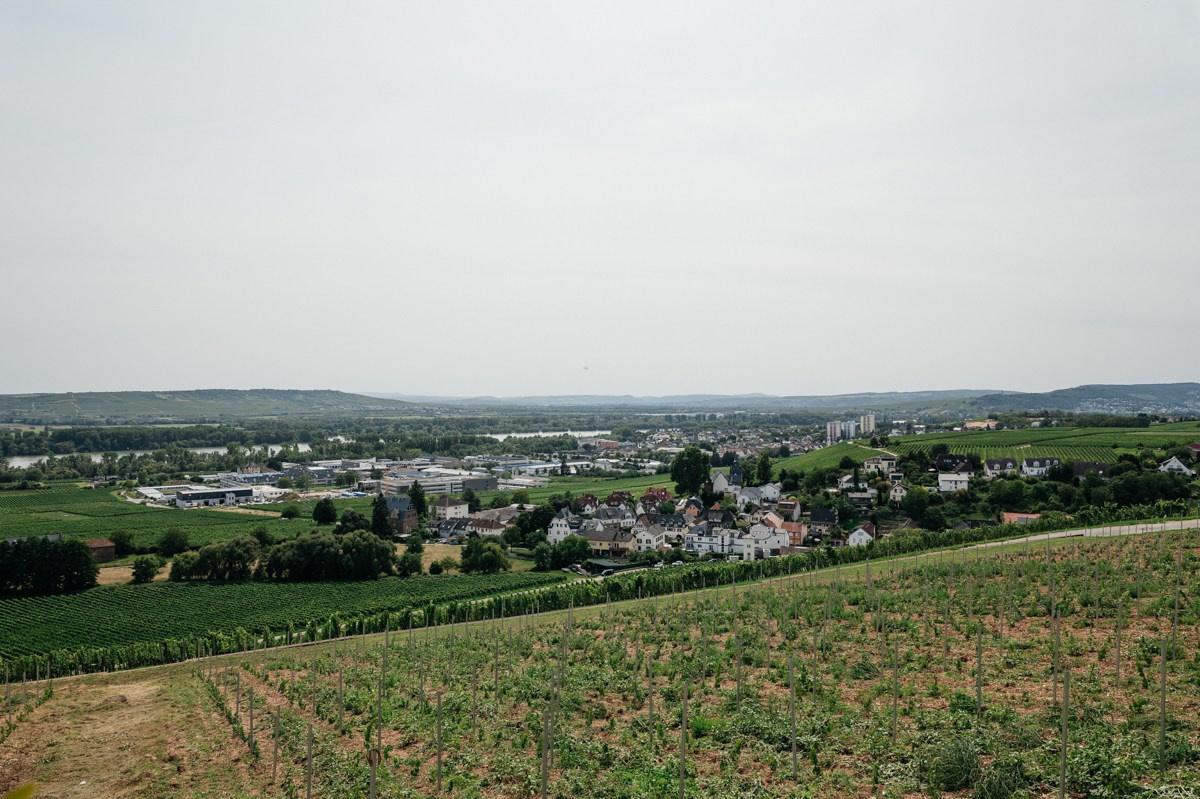 Civil Wedding at Burg Schwarzenstein in Geisenheim. Wedding photographer & videographer in Germany and Frankfurt | Denis Mirosnik