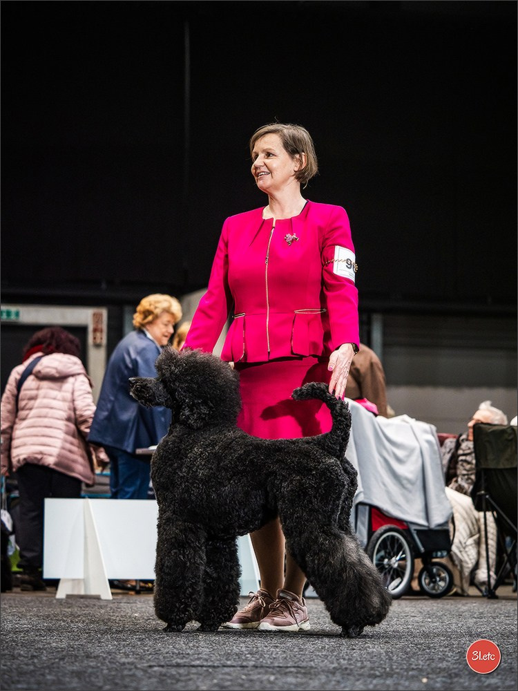 🇩🇪 Offenburg  International Dogshow 09-10.03.24 🇩🇪. Photographe à Strasbourg | Portraits, Studio, Enfants, Événements