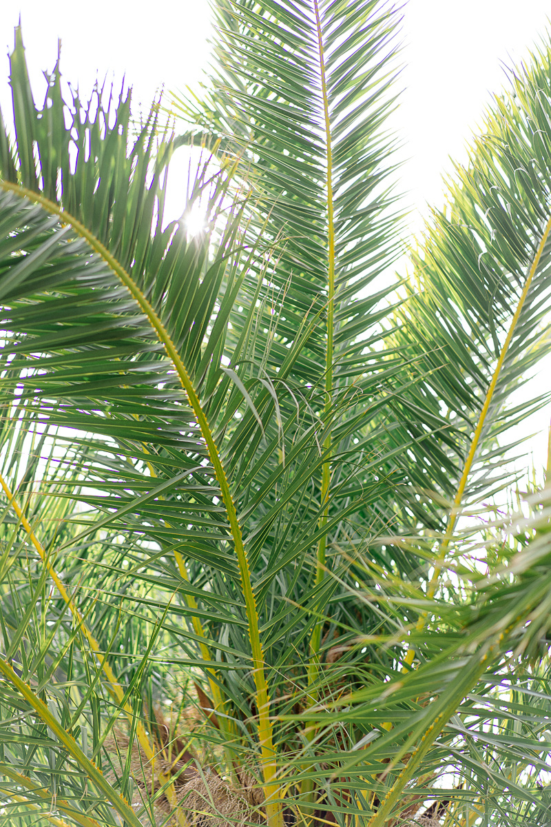 Фотосессии блогеров в Испании (Аликанте, Торревьехе, Бенидорме, Валенс. Фотограф и визажист Анастасия Гусарова