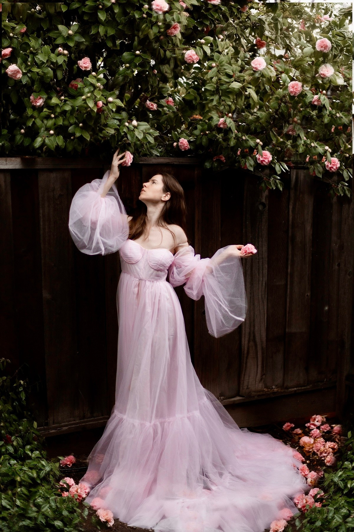 Family photographer in Bay Area, California