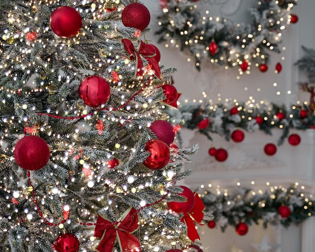 Новогодние съемки. Женский и семейный фотограф в Ташкенте