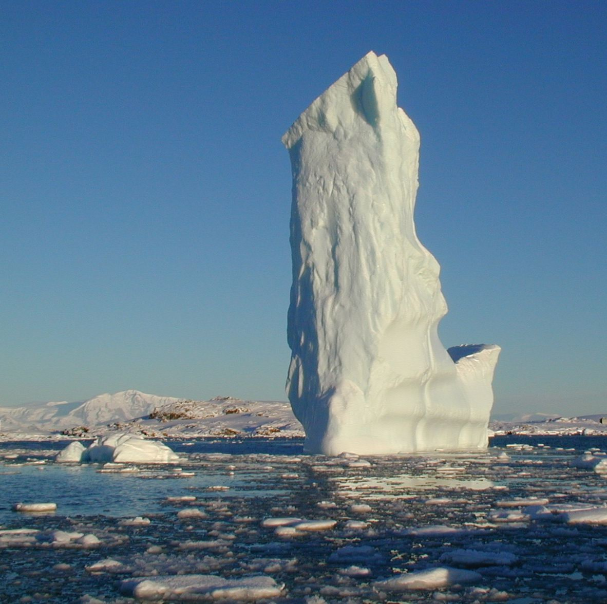 ANTARCTICA. Reportage concert portrait photography in the San Francisco Bay Area