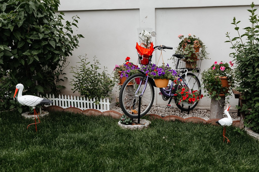 Nuntă de aur. FotoACTIV.ro - Imaginea ta contează