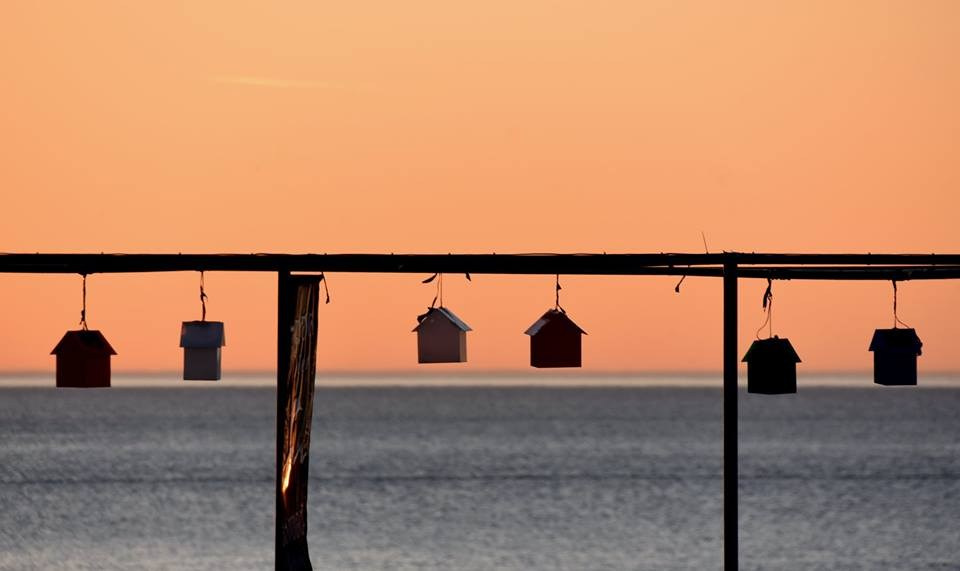 Работы учеников. Фотограф и преподаватель фотографии в Белграде