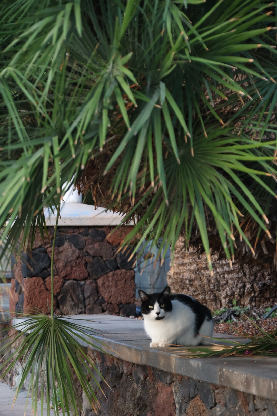 Gran Canaria 2024. Марина фотограф из Нюрнберга
