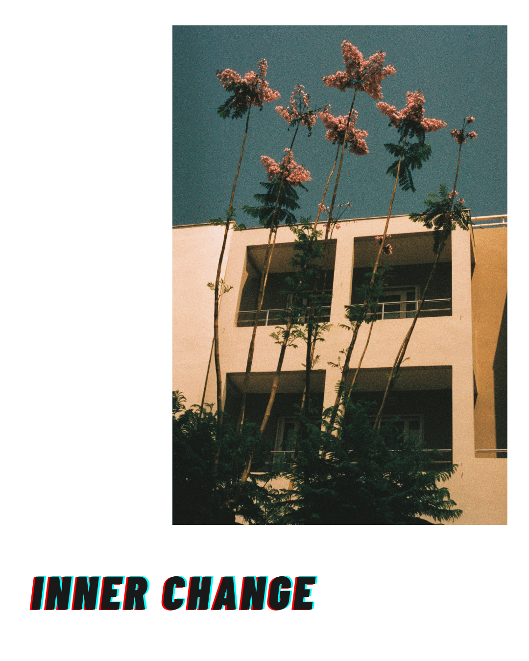 Transformation. Portrait photographer in Madeira — Marina Shtukina