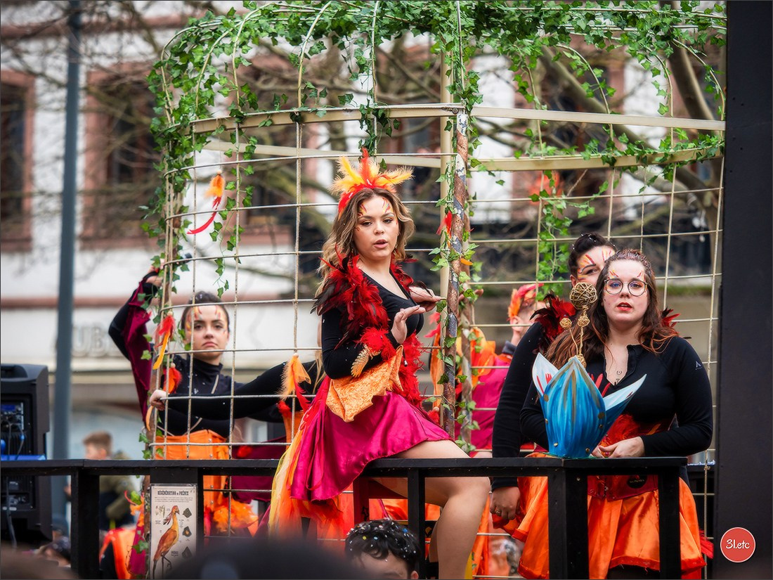 Traditional February carnival. Music, dancing, costume performances. C. Photographe à Strasbourg | Portraits, Studio, Enfants, Événements