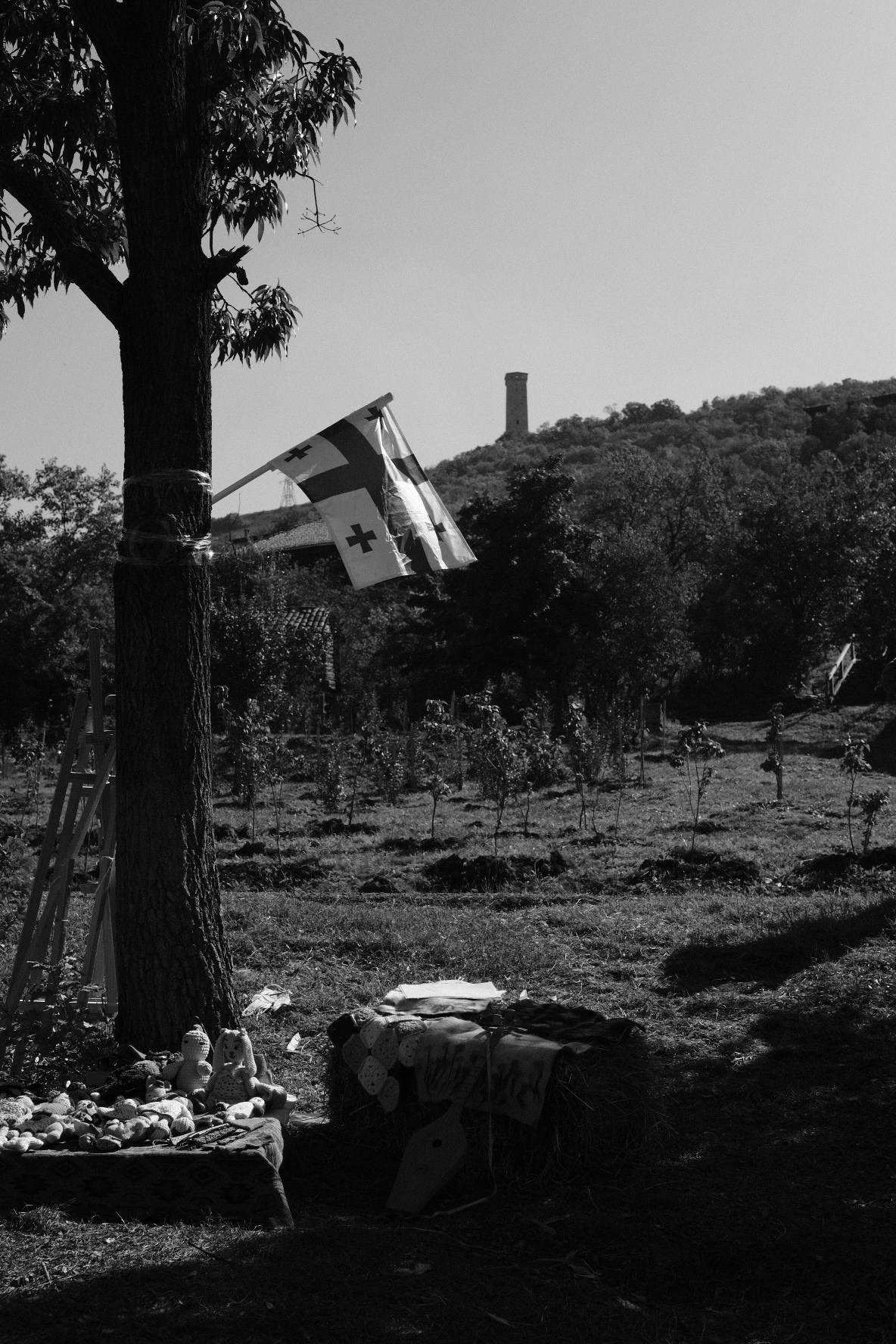 თბილისობა 2024. @Gio.Fujifilm official Fujifilm Ambassador & X-Photographer in Georgia