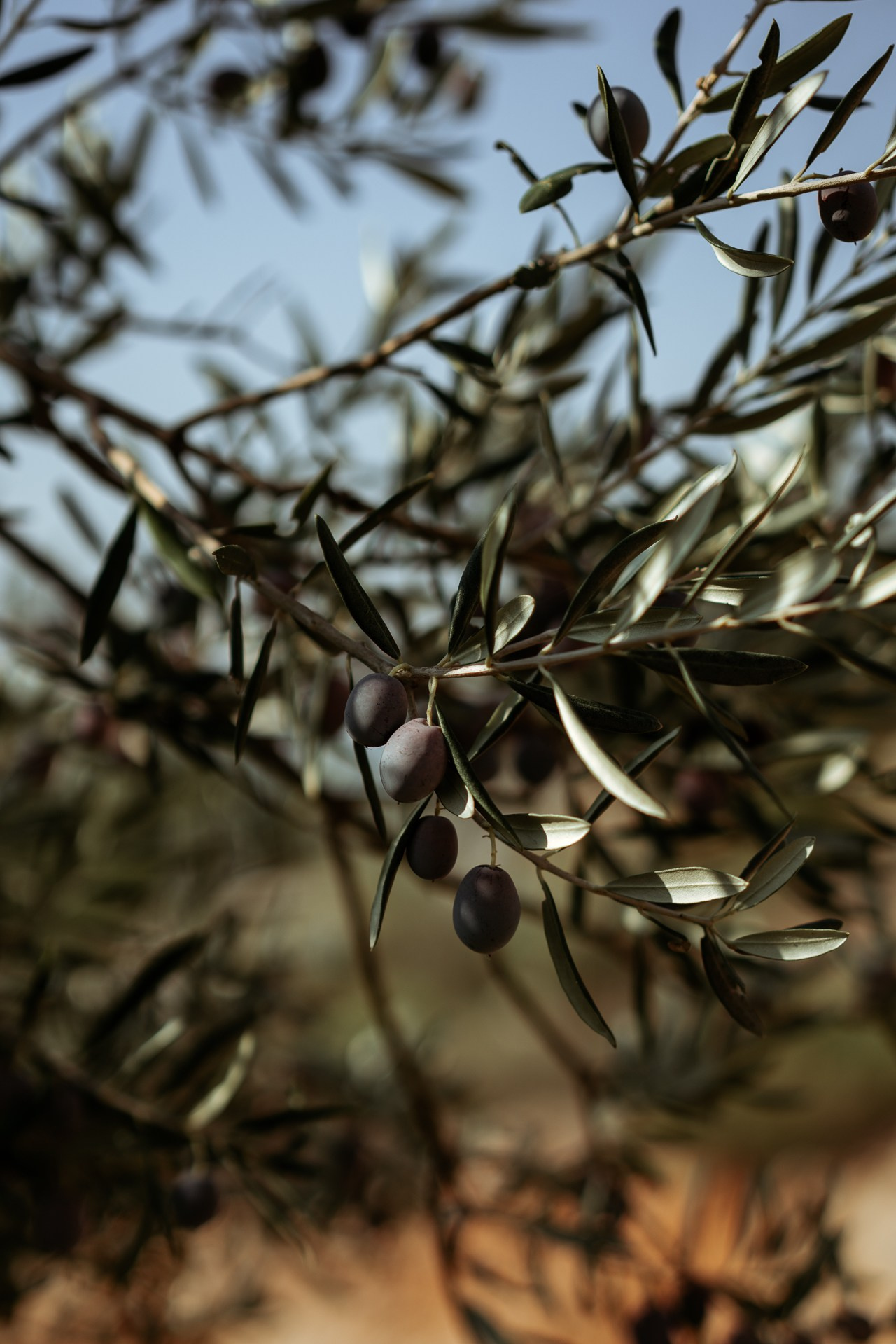 Hedonism Cycling Camp 2021 #cycling. Photographer Evgeniya Dovgalyuk