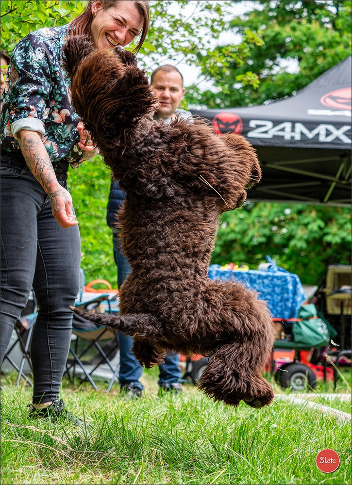 Photographie animalière. Photographe à Strasbourg | Portraits, Studio, Enfants, Événements