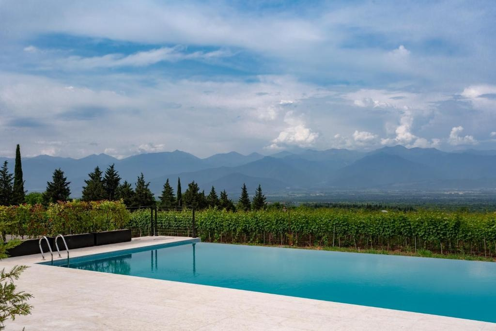 Vazisubani Estate. Главная