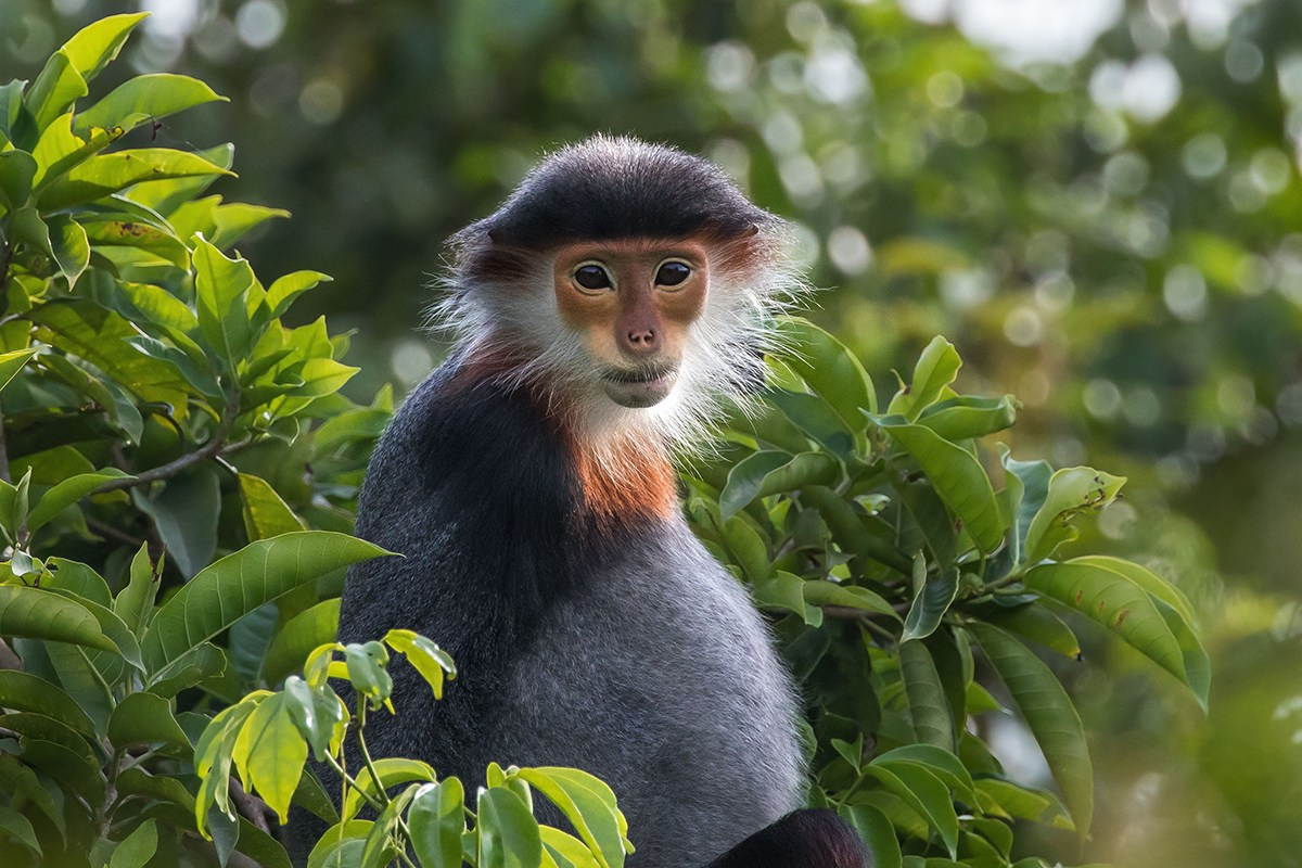 Вьетнам. Elina Reisen. Туристическое агентство в Аугсбурге