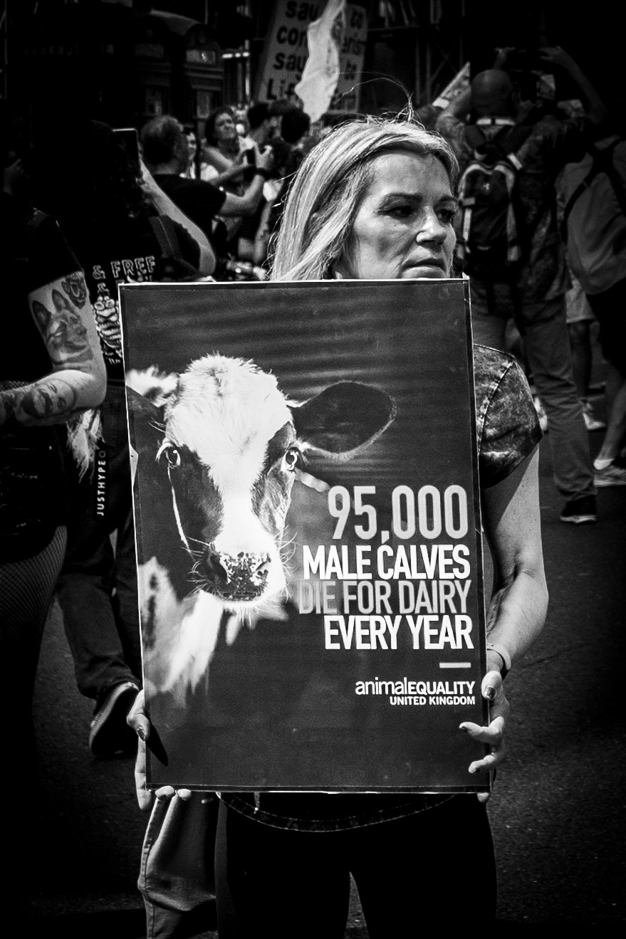 Street. “Gianmaria Coscia fotografo per passione”