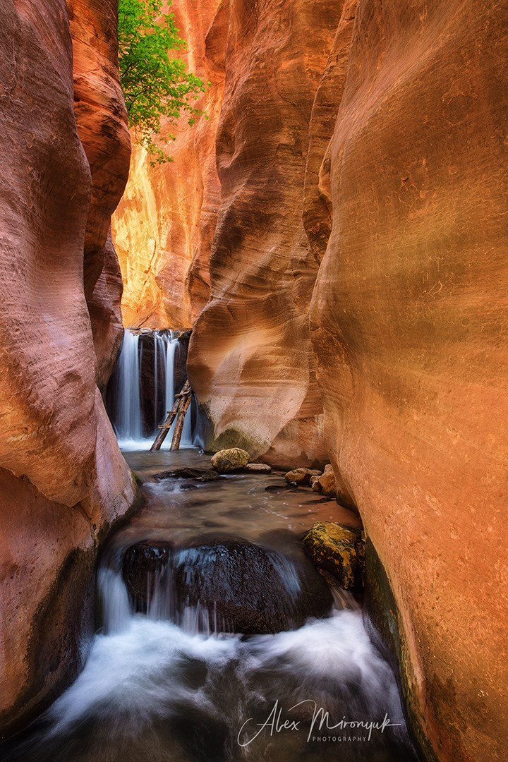 New Year In Utah. Pet, Senior, Landscape, portrait studio, photographer in Miami and Sou