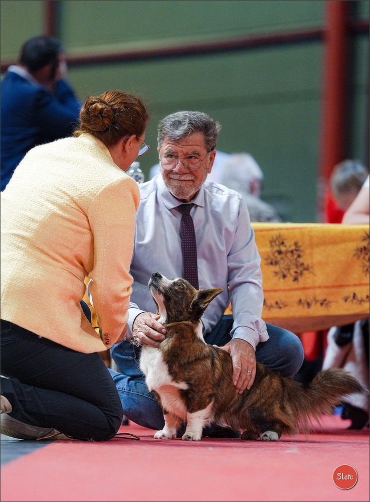Expo canine 🇫🇷 Martigues 18-19/04/2026