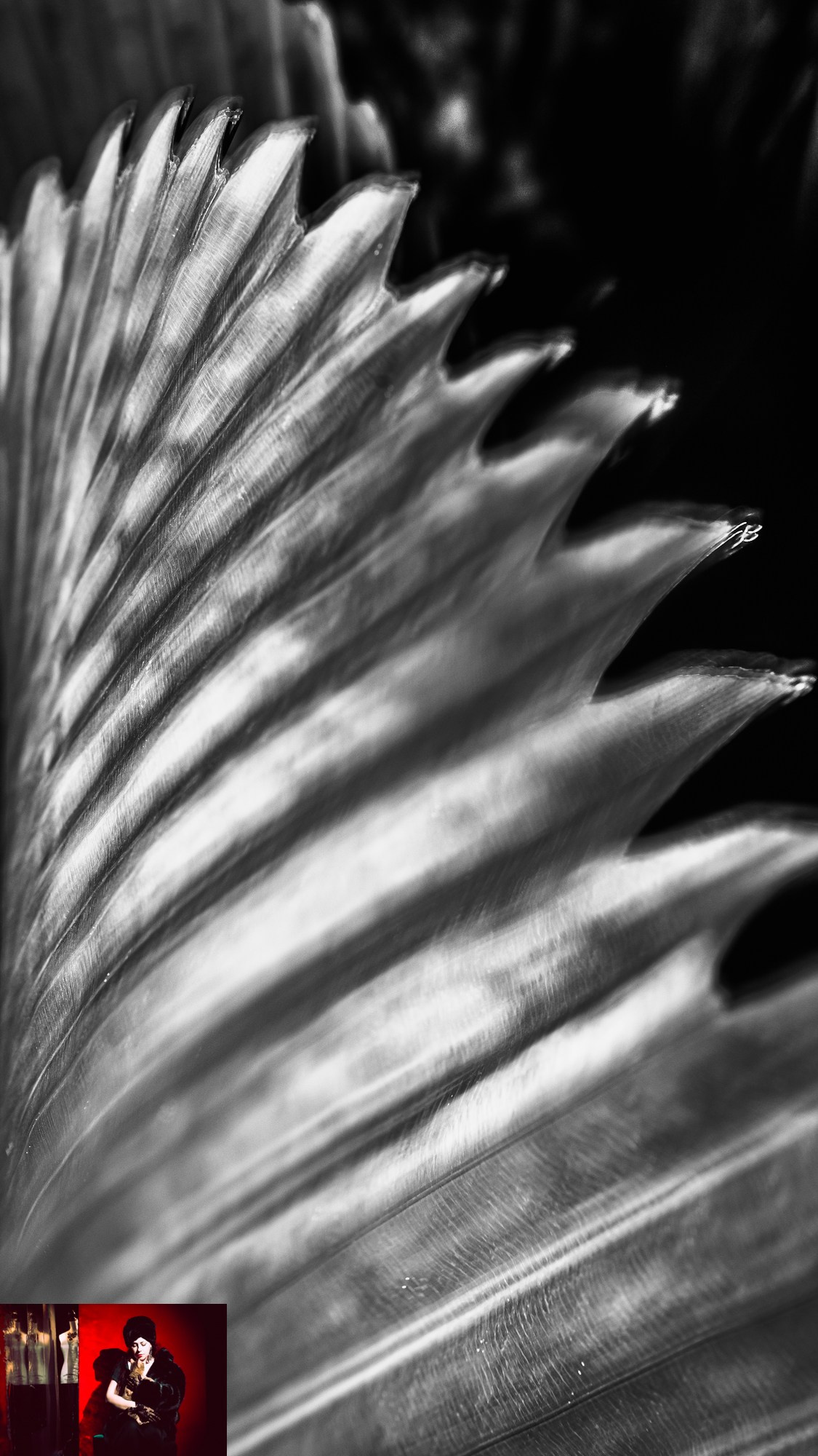 Portraits of Park Residents. Ekaterina Tsurkina-Appina Photography Canada