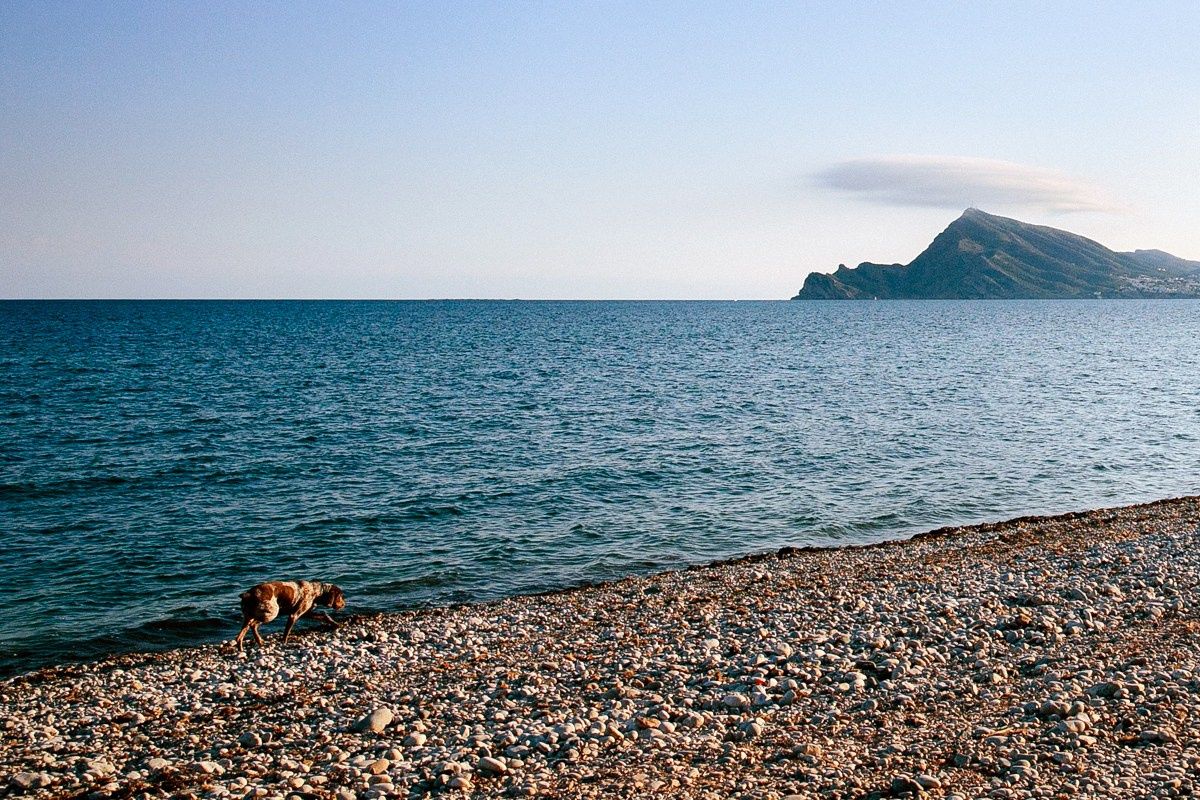 Испания. Портретный фотограф Алена Новгородцева
