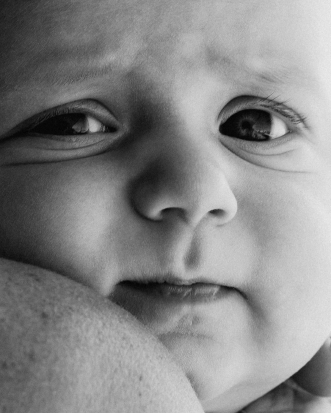 Newborn Twins. Elena Pretzner Photography