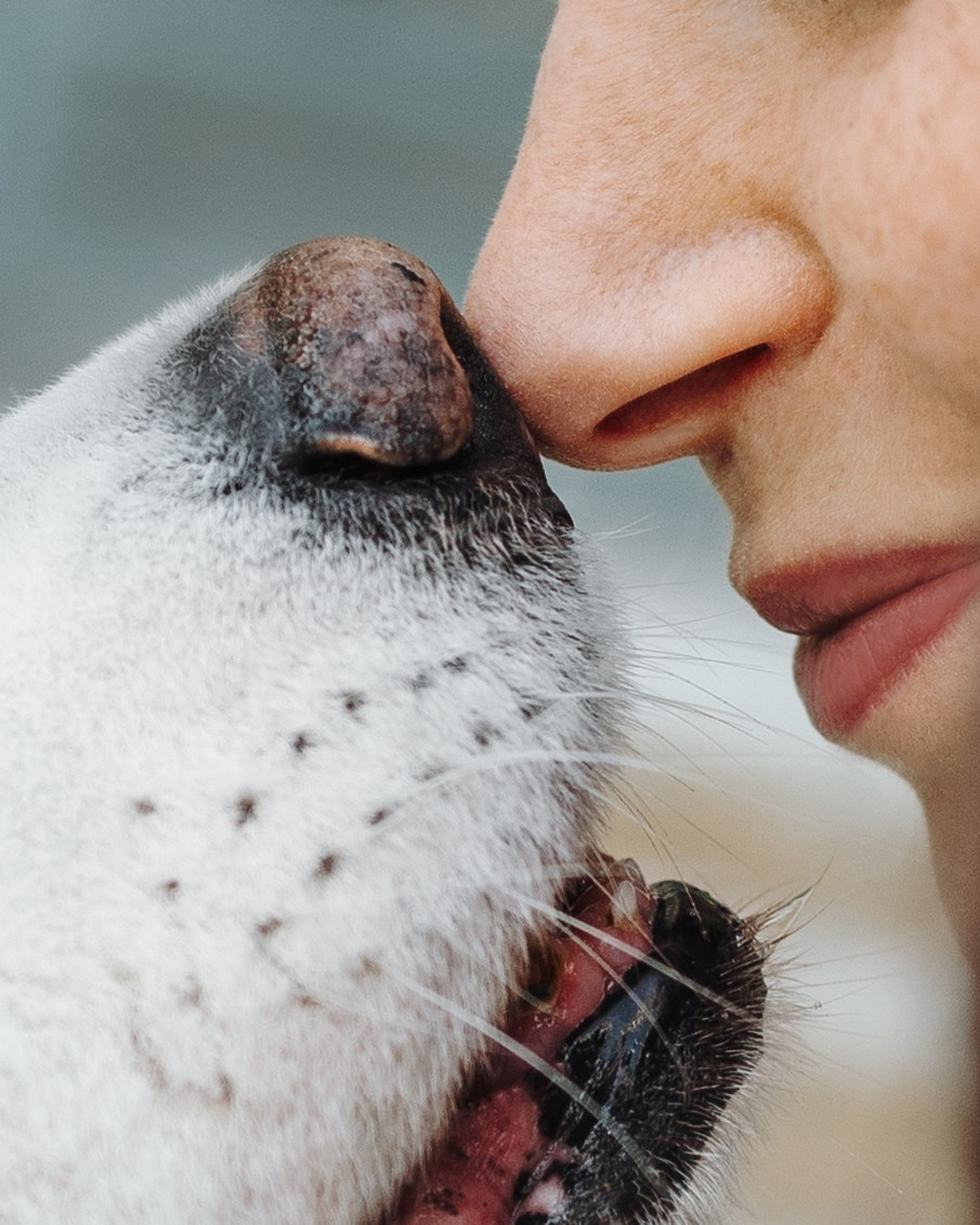 Mishka & Yuliya. Pet Photographer Viktoriya