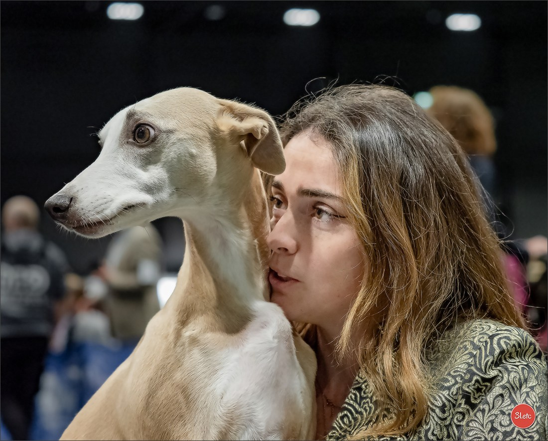 Photographie animalière. Photographe à Strasbourg | Portraits, Studio, Enfants, Événements