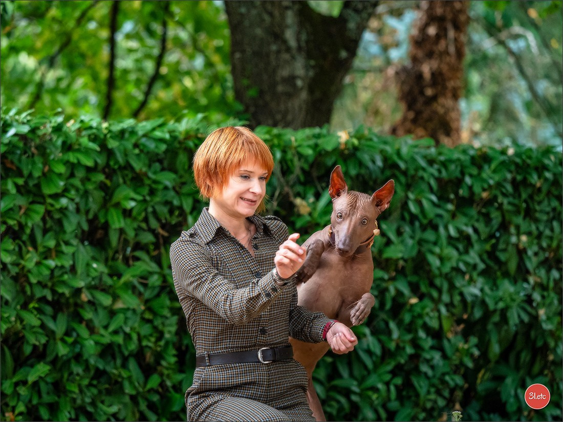 Expo canine 🇫🇷 Poitiers 18-19/10/2025. Photographe à Strasbourg | Portraits, Studio, Enfants, Événements