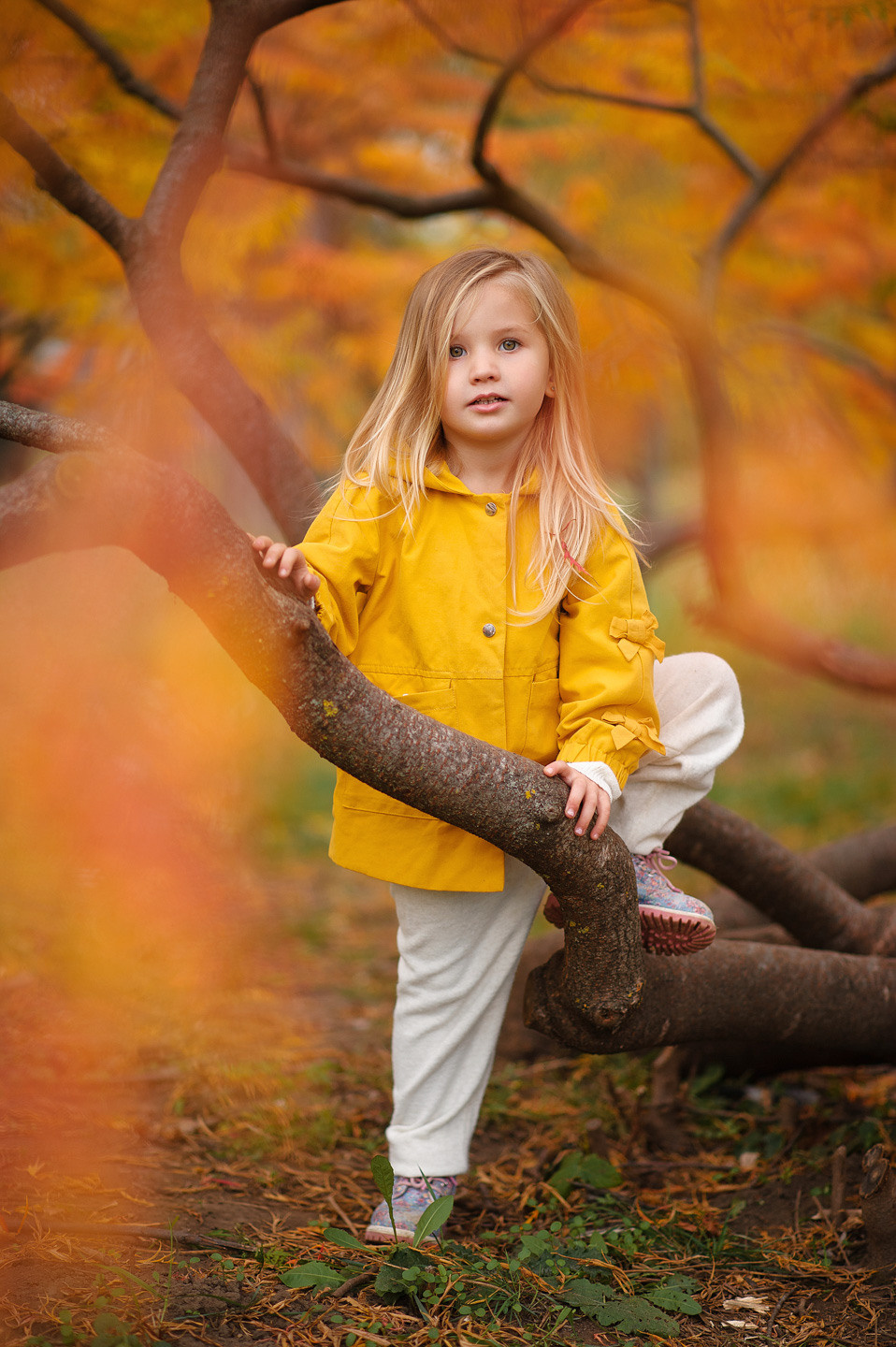 Альбом № 4. Семейный фотограф в Кишинёве THOMAS SHTIFT