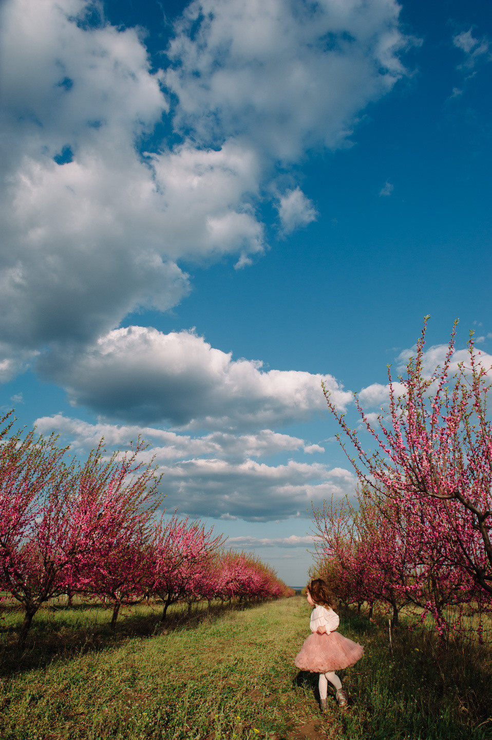 Альбом № 5. Семейный фотограф в Кишинёве THOMAS SHTIFT