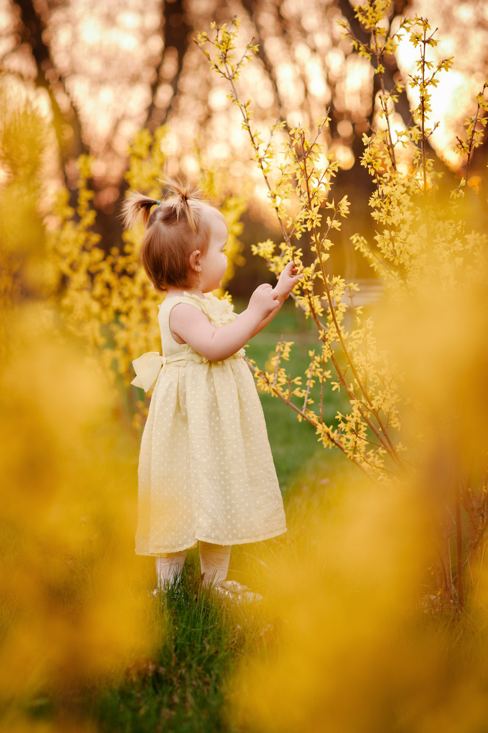 Альбом — Melisa. Семейный фотограф в Кишинёве THOMAS SHTIFT