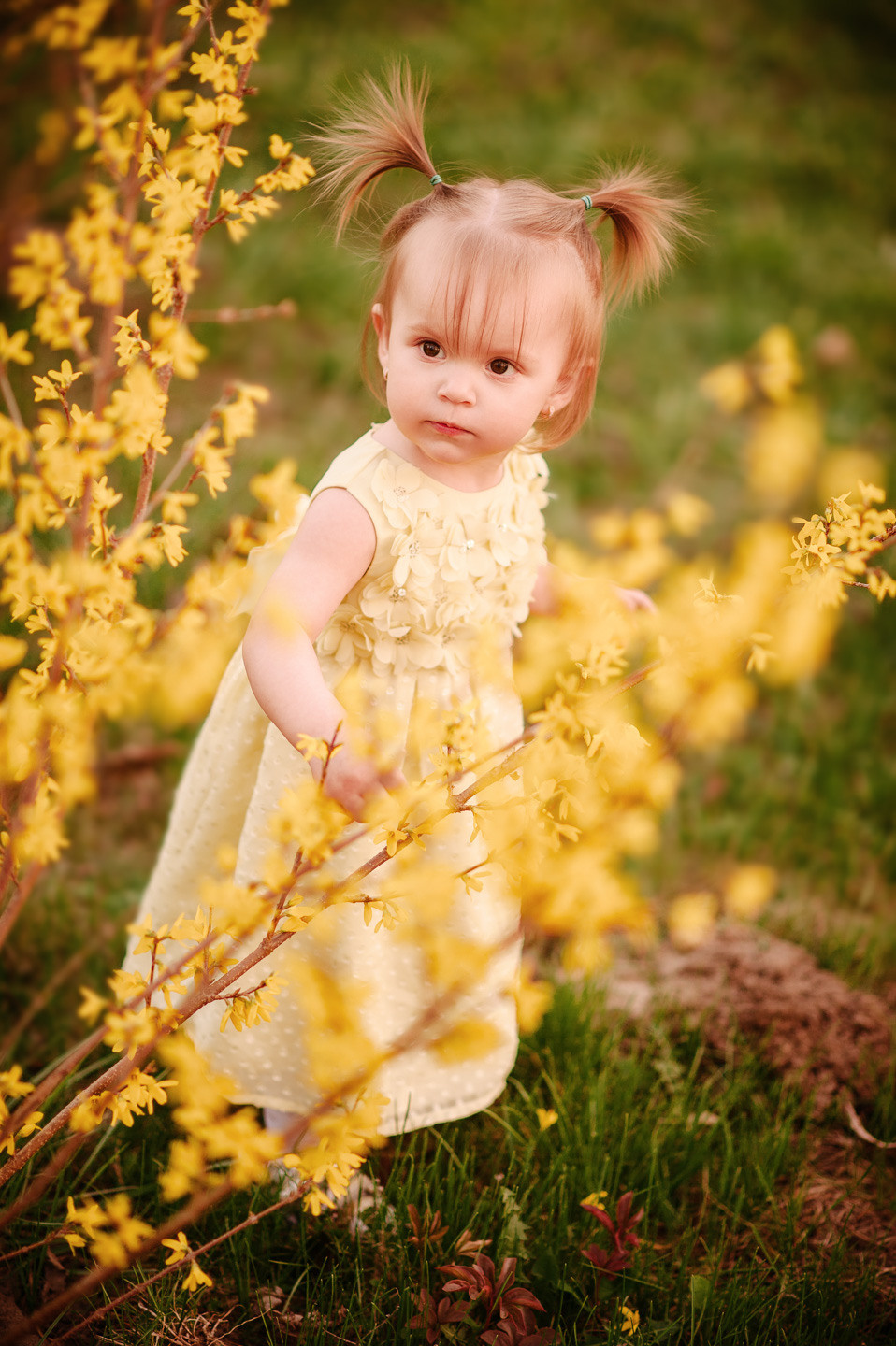 Альбом — Melisa. Семейный фотограф в Кишинёве THOMAS SHTIFT