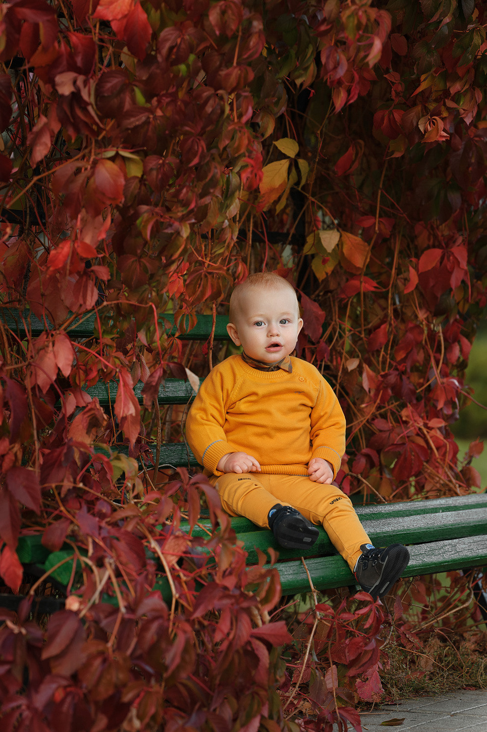 Альбом № 7. Семейный фотограф в Кишинёве THOMAS SHTIFT