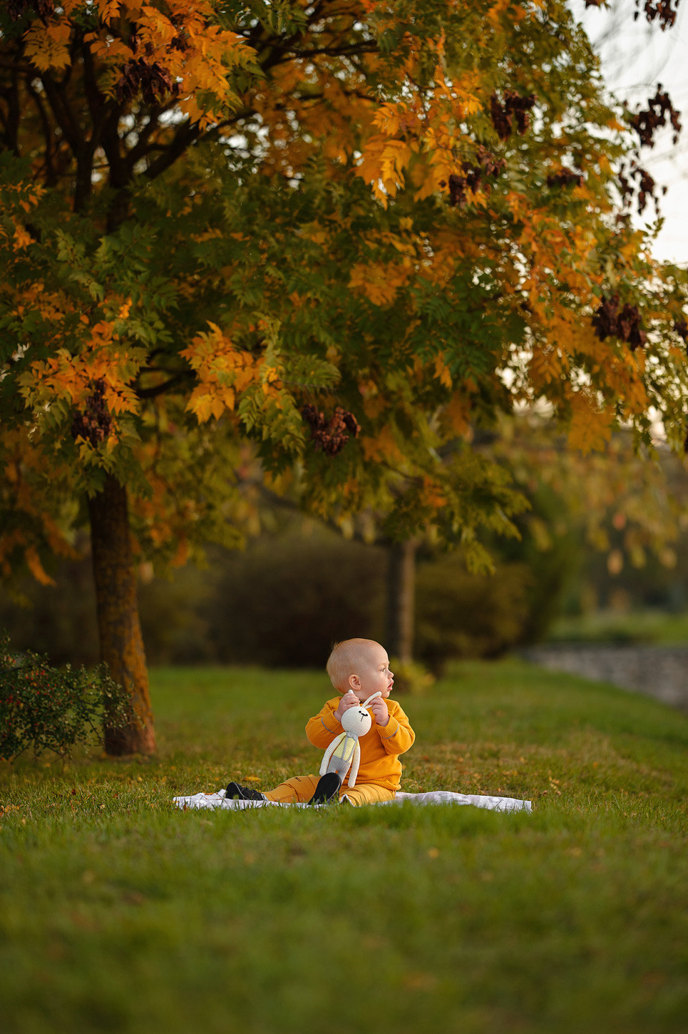 Альбом № 7. Семейный фотограф в Кишинёве THOMAS SHTIFT