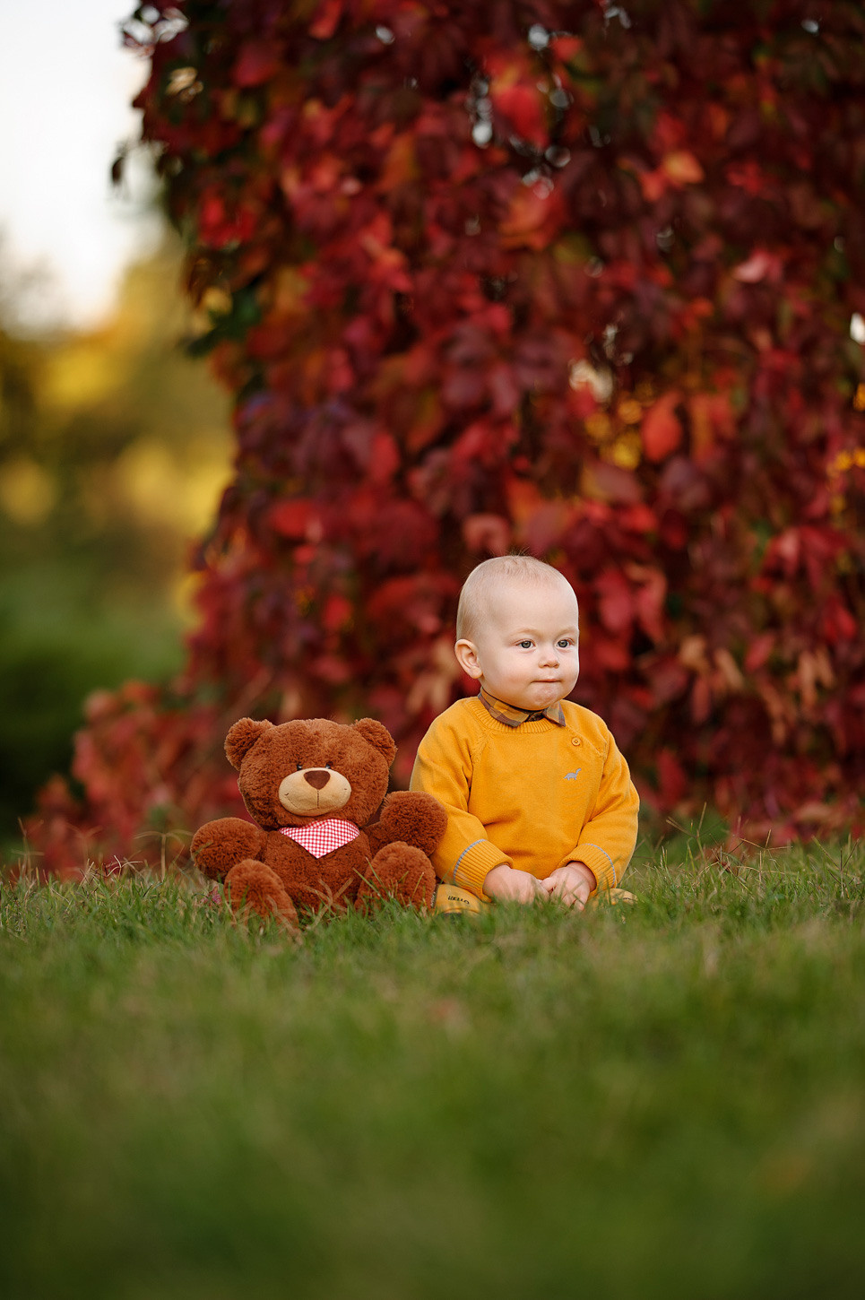 Альбом № 7. Семейный фотограф в Кишинёве THOMAS SHTIFT