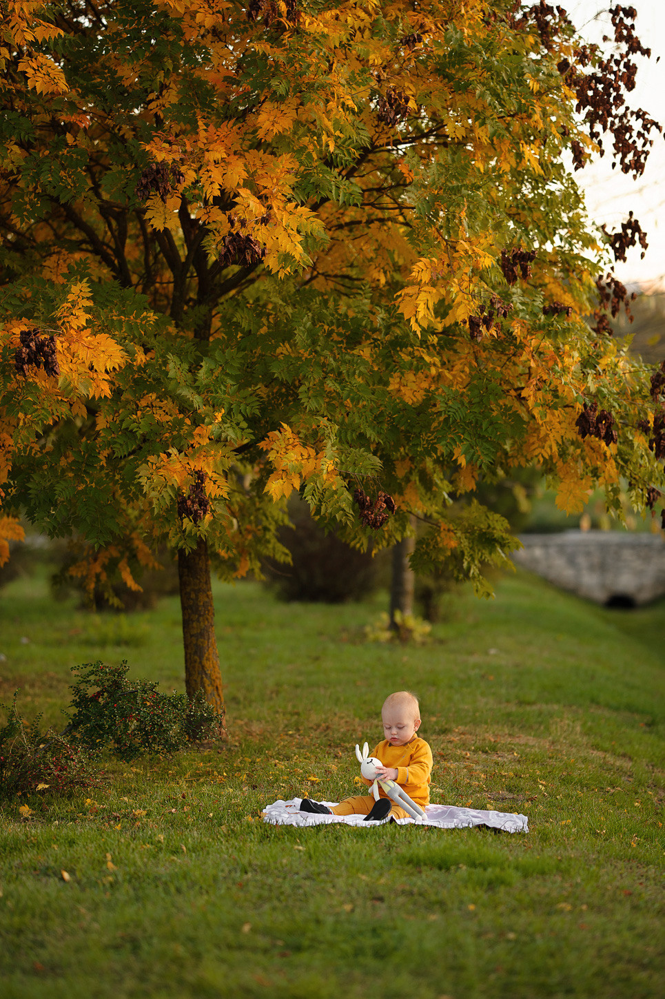 Альбом № 7. Семейный фотограф в Кишинёве THOMAS SHTIFT