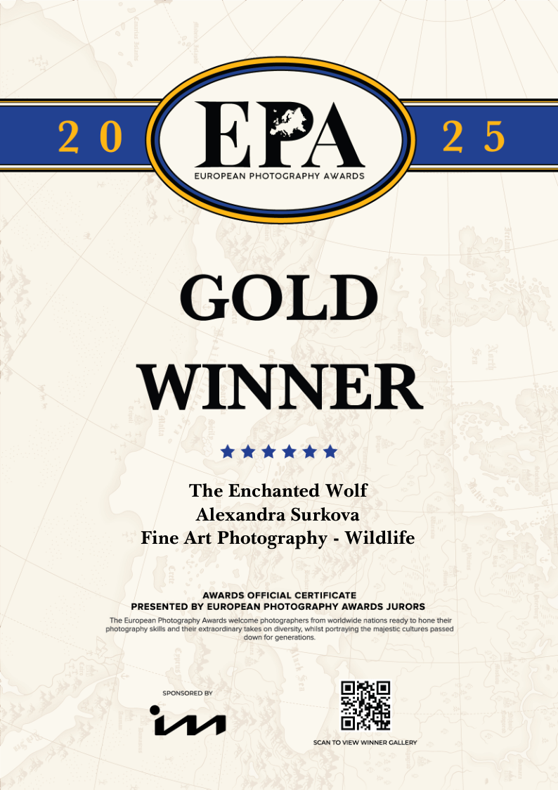 ABOUT. Fine art wildlife photographer Alexandra Surkova