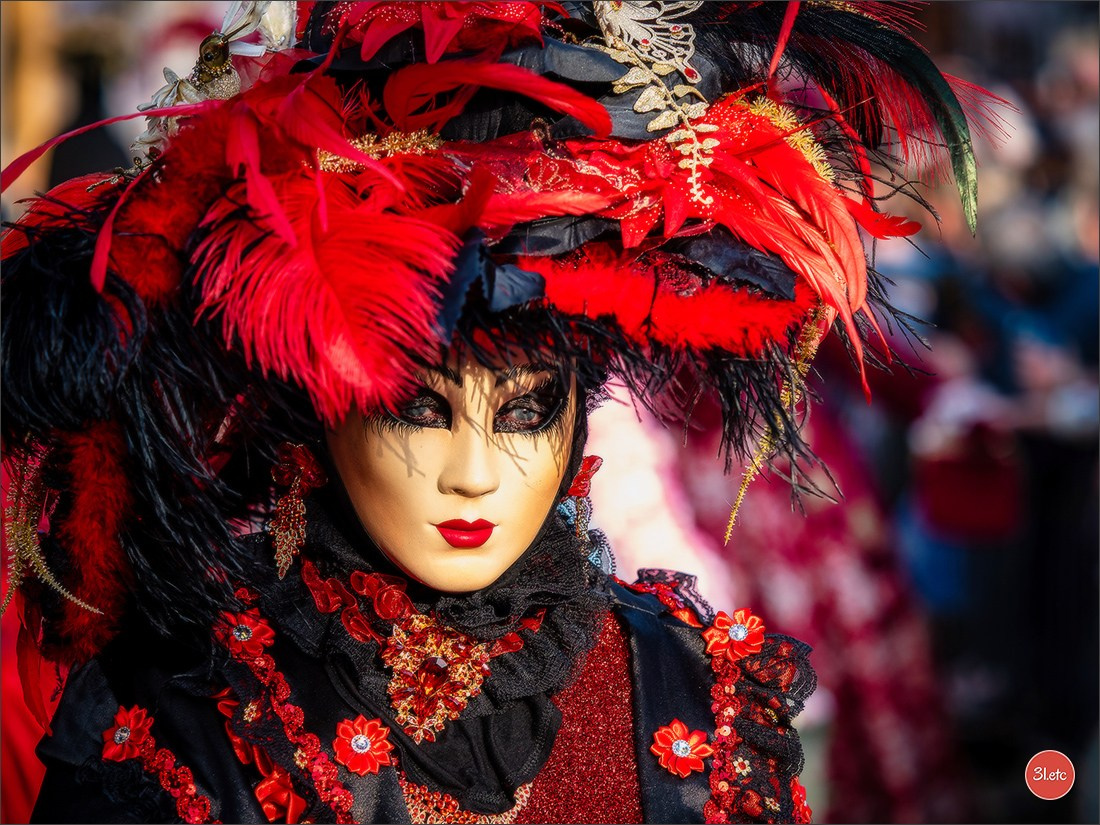 Carnaval vénitien de Rosheim 2026. Photographe à Strasbourg | Portraits, Studio, Enfants, Événements