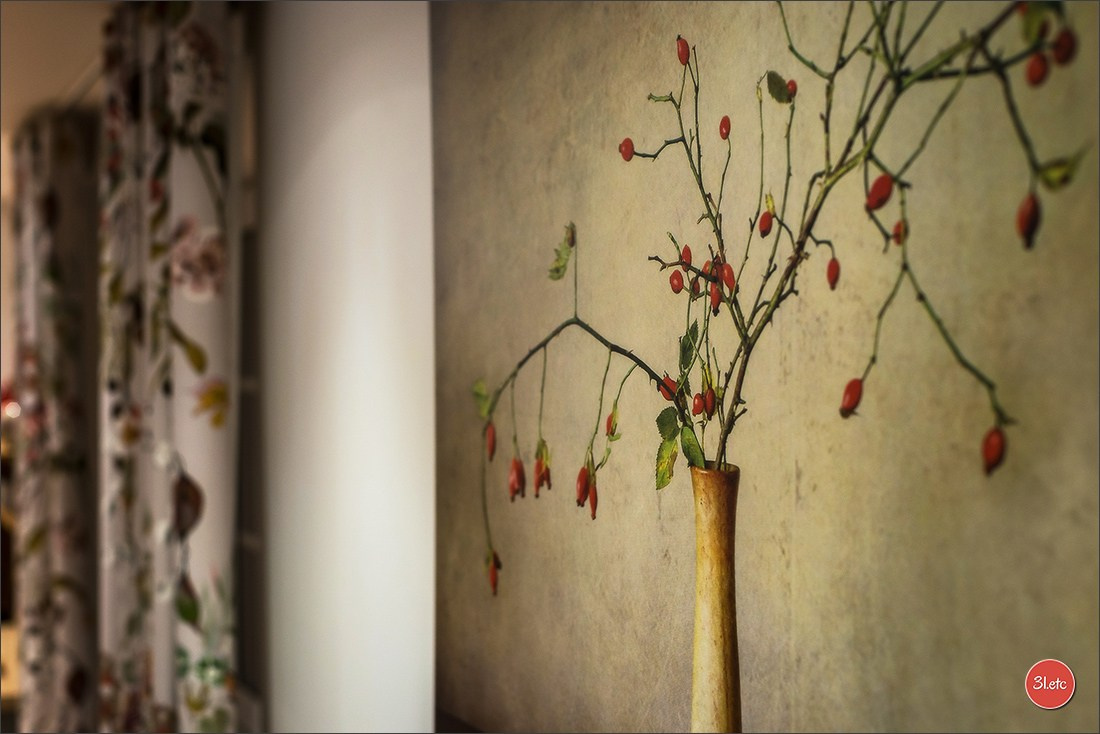 Photos d'appartements, de locaux. Photographe à Strasbourg | Portraits, Studio, Enfants, Événements