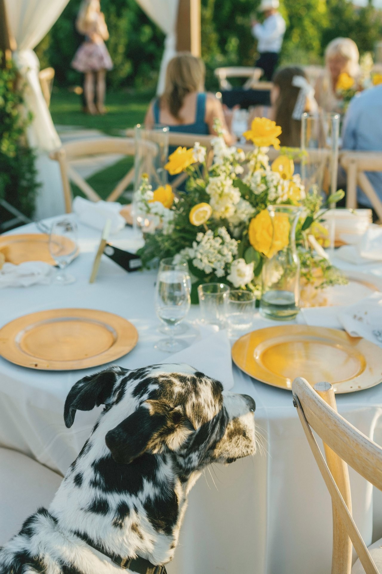 Wedding Photography & Videography Team in California, Los Angeles, San Francisco, San Diego and Travel