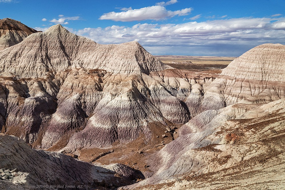 Eagle’s View — Arizona. Pet, Senior, Landscape, portrait studio, photographer in Miami and Sou