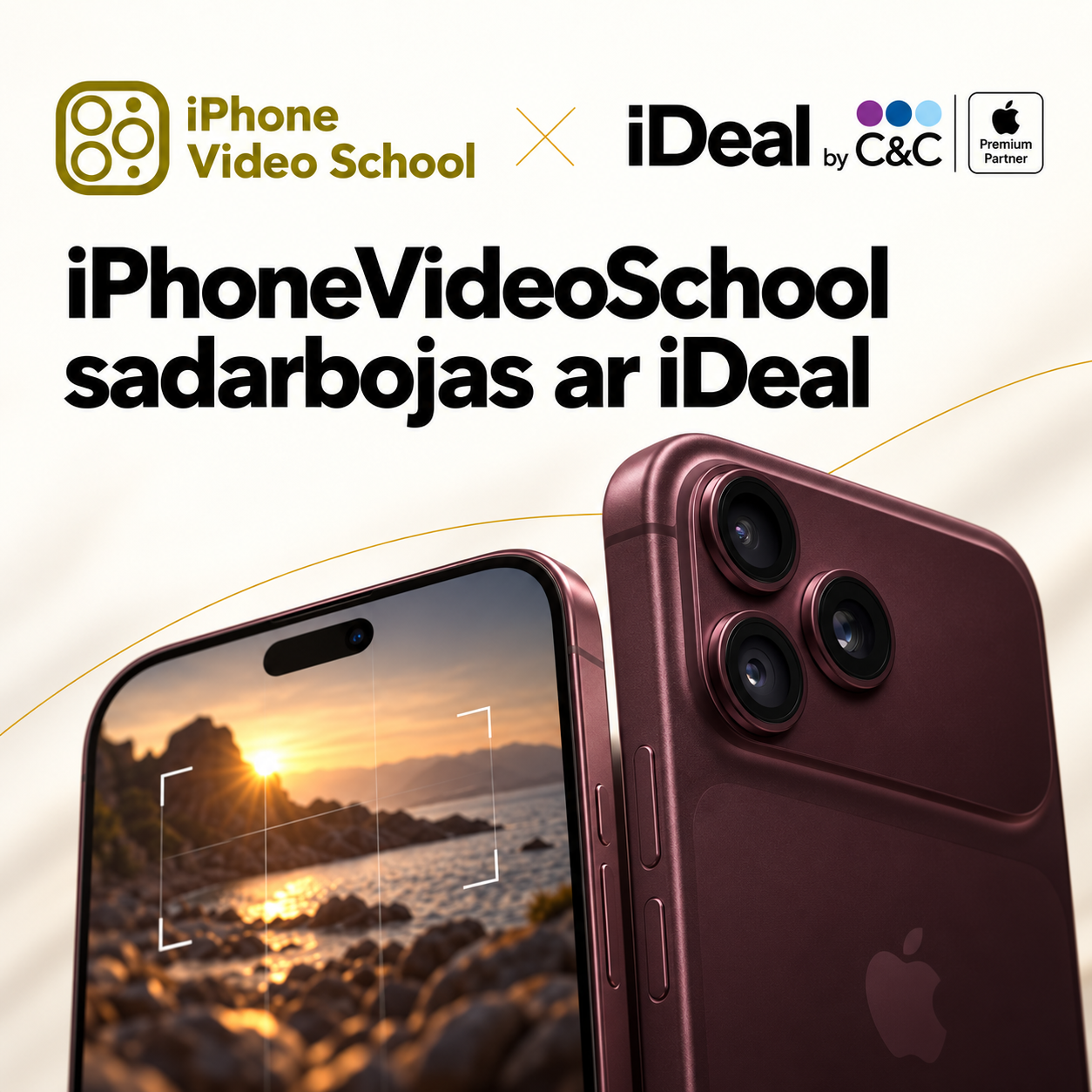 Individual Training — iPhone Video School. Video shooting and creating with phone, iPhone Video School