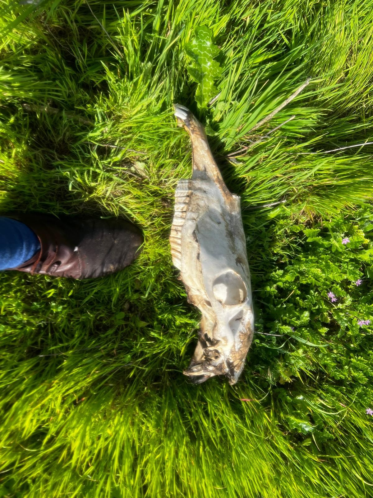 Поход 2026. КРиС «Нортман»