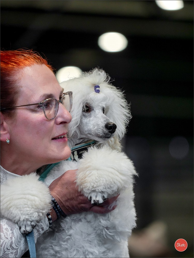 Dog Show Liege 🇧🇪 19-29/07/2025. Photographe à Strasbourg | Portraits, Studio, Enfants, Événements