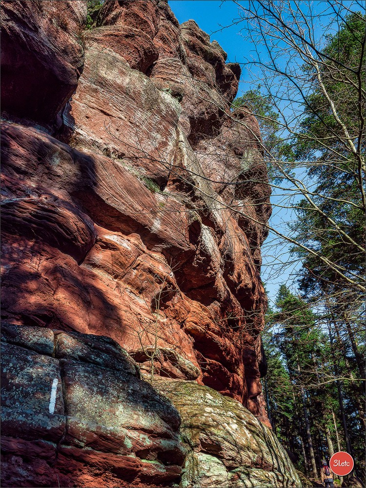 Une forêt, un rocher et un cimetière gallo-romain. Photographe à Strasbourg | Portraits, Studio, Enfants, Événements