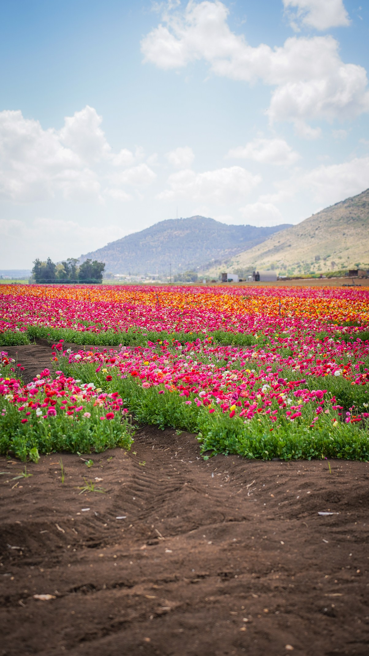 שירותים. יותם שחר צילום ועריכה